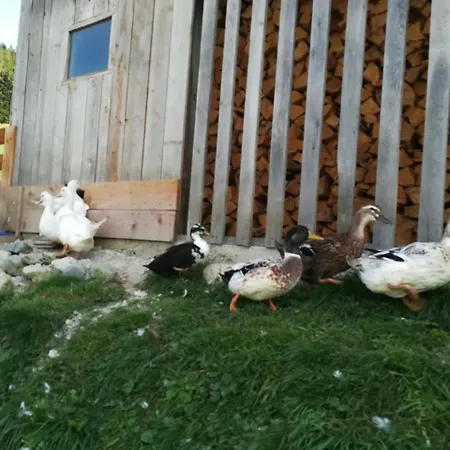 Apartment Angererhof