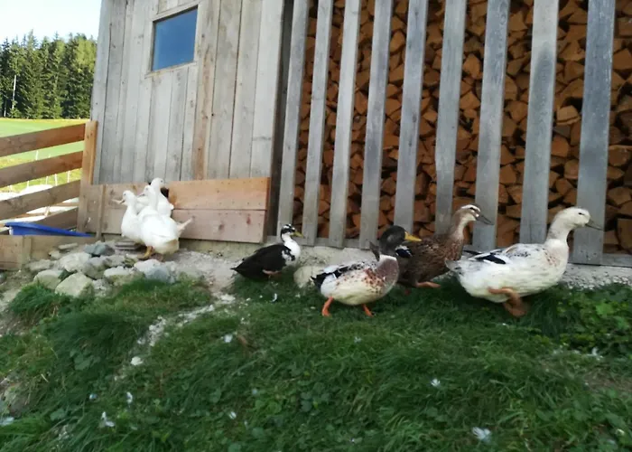 Apartamento Angererhof